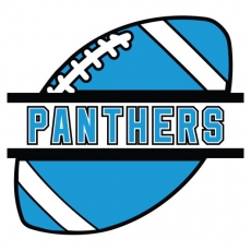 Football Carolina Panthers Logo heat sticker