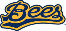 Burlington Bees 2007-Pres Wordmark Logo heat sticker