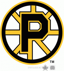 Providence Bruins 1995 96-2011 12 Primary Logo heat sticker