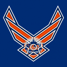 Airforce New York Mets Logo heat sticker