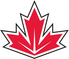 World Cup of Hockey 2016-2017 Team 06 Logo heat sticker