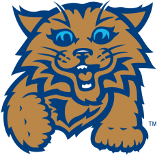 Villanova Wildcats 2004-Pres Misc Logo heat sticker