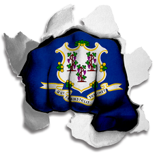 Fist Connecticut State Flag Logo heat sticker