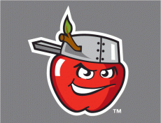 Fort Wayne Tincaps 2008-Pres Cap Logo 2 heat sticker