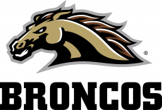 Western Michigan Broncos 2016-Pres Alternate Logo heat sticker