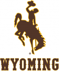 Wyoming Cowboys 2013-Pres Alternate Logo heat sticker