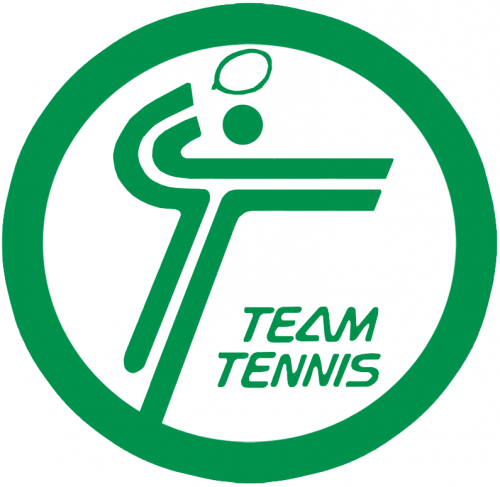 World TeamTennis 1981-1982 Primary Logo heat sticker