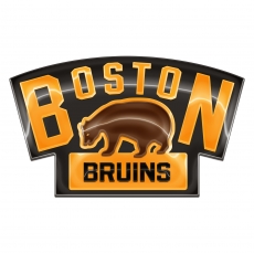 Boston Bruins Crystal Logo heat sticker