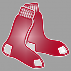 Boston Red Sox Plastic Effect Logo heat sticker