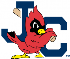 Johnson City Cardinals 1995-Pres Secondary Logo heat sticker