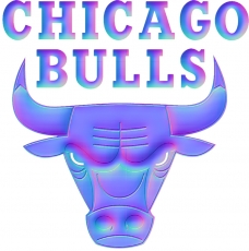 Chicago Bulls Colorful Embossed Logo heat sticker