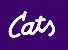 Kansas State Wildcats 1988 Wordmark Logo custom vinyl decal