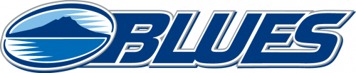 Blues 2000-Pres Primary Logo custom vinyl decal