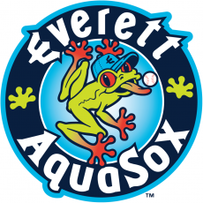 Everett AquaSox 2013-Pres Primary Logo heat sticker