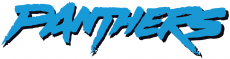 Carolina Panthers 1995-2011 Wordmark Logo custom vinyl decal