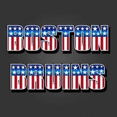 Boston Bruins American Captain Logo heat sticker
