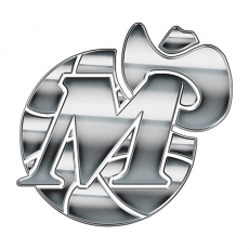 Dallas Mavericks Silver Logo heat sticker