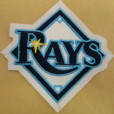 Tampa Bay Rays Embroidery logo