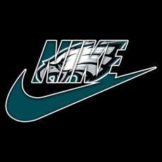 Philadelphia Eagles Nike logo heat sticker