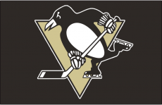 Pittsburgh Penguins 2000 01-2015 16 Jersey Logo heat sticker