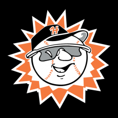Hagerstown Suns 1993-2012 Cap Logo heat sticker