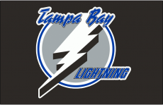 Tampa Bay Lightning 1992 93-2000 01 Jersey Logo custom vinyl decal