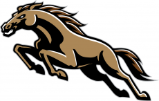Western Michigan Broncos 1998-2015 Alternate Logo heat sticker