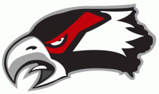 Waterloo Black Hawks 2007 08-Pres Secondary Logo heat sticker