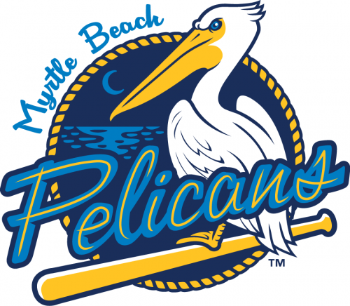 Myrtle Beach Pelicans 2007-Pres Primary Logo heat sticker