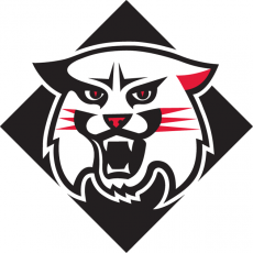 Davidson Wildcats 2010-Pres Alternate Logo heat sticker