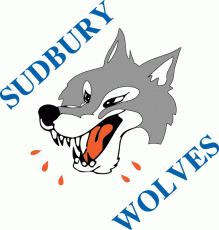 Sudbury Wolves 1989 90-2008 09 Primary Logo custom vinyl decal