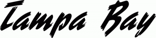 Tampa Bay Lightning 1998 99-2006 07 Wordmark Logo custom vinyl decal