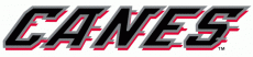 Carolina Hurricanes 1997 98-2007 08 Wordmark Logo heat sticker