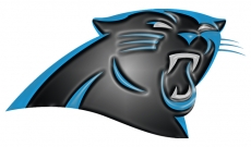 Carolina Panthers Plastic Effect Logo heat sticker
