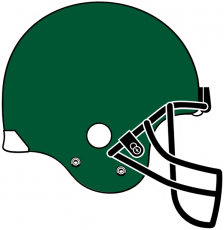 Tulane Green Wave 2005 Helmet Logo 03 heat sticker