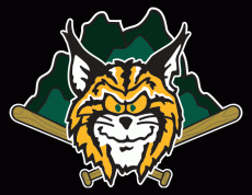 Lynchburg Hillcats 1995-2016 Cap Logo heat sticker