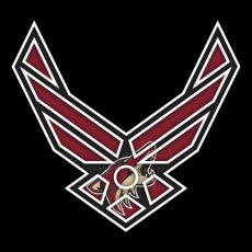 Airforce Arizona Coyotes logo heat sticker