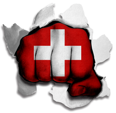 Fist Switzerland Flag Logo heat sticker