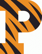 Princeton Tigers 1984-Pres Primary Logo heat sticker