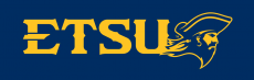 ETSU Buccaneers 2014-Pres Alternate Logo 10 heat sticker