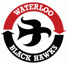 Waterloo Black Hawks 1979 80-2006 07 Primary Logo custom vinyl decal