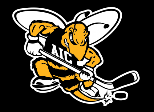 AIC Yellow Jackets 2009-Pres Alternate Logo 36 inches custom vinyl decal