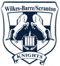 Wilkes-BarreScranton Knights 2015 16-Pres Primary Logo heat sticker