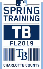 Tampa Bay Rays 2019 Event Logo heat sticker
