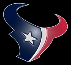 Houston Texans Plastic Effect Logo heat sticker