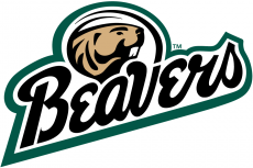 Bemidji State Beavers 2004-Pres Alternate Logo 01 custom vinyl decal