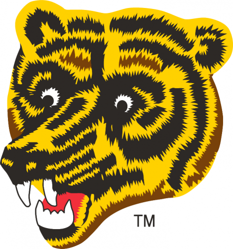 Boston Bruins 1976 77-1994 95 Alternate Logo heat sticker