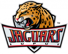 IUPUI Jaguars 2008-Pres Primary Logo heat sticker