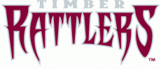 Wisconsin Timber Rattlers 2011-Pres Wordmark Logo heat sticker