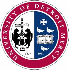 Detroit Titans 1990-Pres Alternate Logo heat sticker